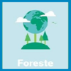 PSR: dal 14 gennaio al 31 maggio 2022 è aperto il Bando foreste - operazione 861 - investimenti acquisto mezzi ed attrezzature forestali