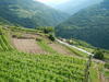 Sviluppo rurale: approvati gli interventi per il 2023-2027 - Paesaggio agricolo in Trentino [ Provincia autonoma di Trento]