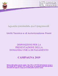 Disposizioni per la presentazione della domanda unica di pagamento - Campagna 2019