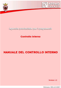 Manuale del controllo interno - vers. 1.0