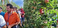 Porte aperte Maso delle Part, oltre 350 frutticoltori alla giornata tecnica FEM