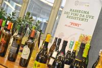 2 ^ Rassegna dei vini PIWI, iscrizioni aperte fino al 14 ottobre