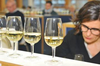  2 ^ Rassegna dei vini PIWI, iscrizioni aperte fino al 14 ottobre - comunicato stampa FEM del 10 ottobre 2022