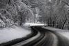 Meteo, neve attesa in Trentino martedì 22 novembre-Neve sulle strade del Trentino [ Archivio Ufficio stampa PAT]