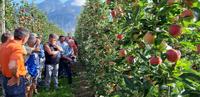 Porte aperte Maso delle Part, oltre 350 frutticoltori alla giornata tecnica FEM (comunicato stampa FEM dell'8 agosto 2019)